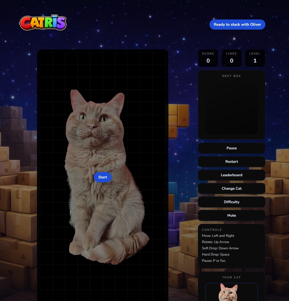 Catris — cat-themed Tetris game screenshot